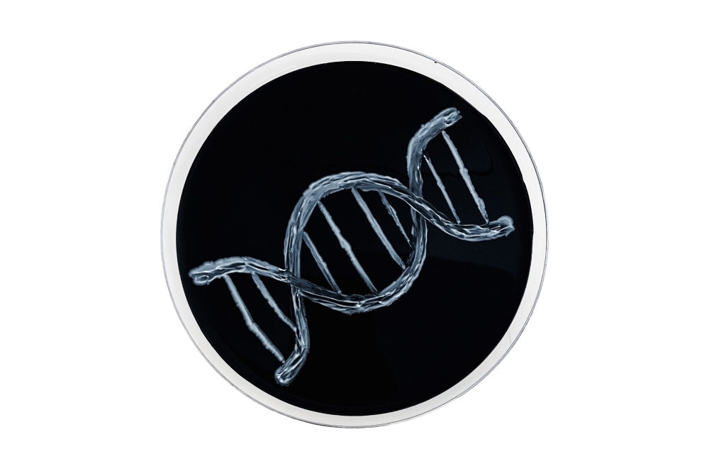 Campy DNA - white frame